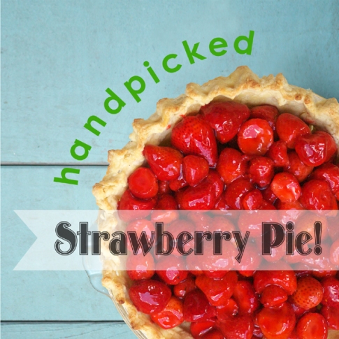 Handpicked Strawberry Pie Header
